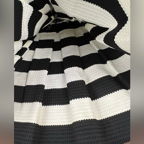 NWT - Express Striped Structured Stretch Pouf Skater Skirt - Size XS - Picture 7 of 8